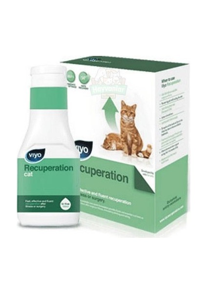 Recuperation Kedi Ek Besin Takviyesi 150 ml