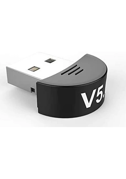 V5.0 USB Bluetooth 5.0 Dongle Bluetooth Adaptör Csr