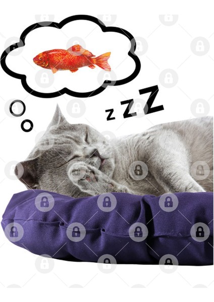 Kedi Tasarımlı Kupa Bardak