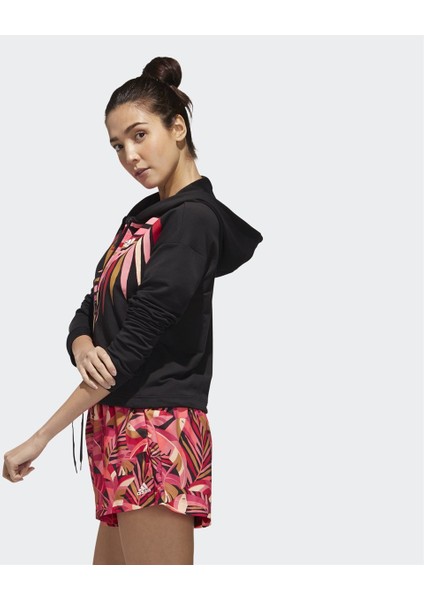 W Farm Hd Ttkadın Sweat fiyatları