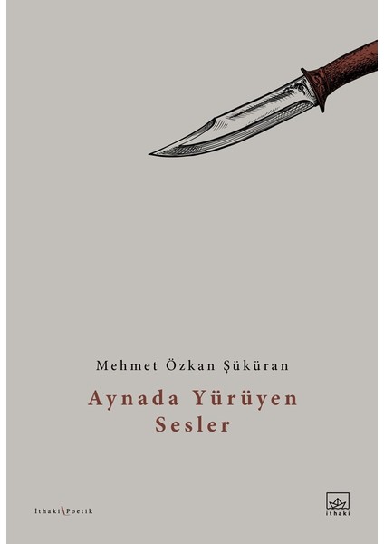 Aynada Yürüyen Sesler - Mehmet Özkan Şüküran