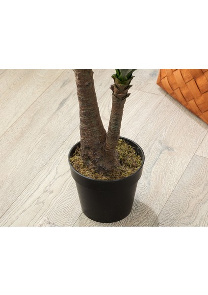 Buisson Saksılı Çiçek - Yeşil