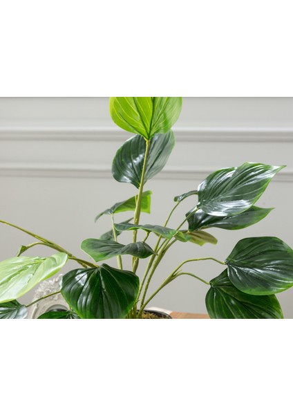 Verdure Saksılı Çiçek - Yeşil