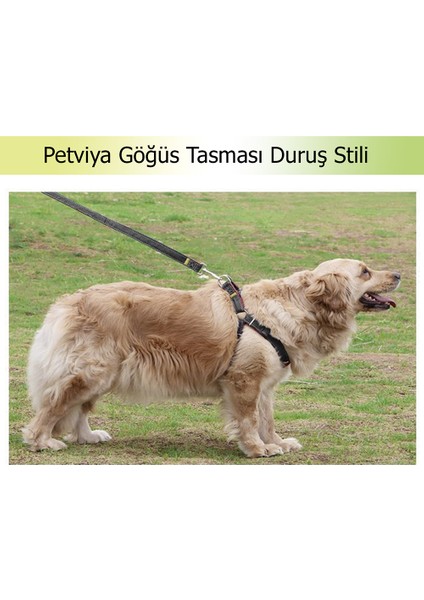 Ayarlanabilir Köpek Göğüs Tasması Siyah-Turuncu Large