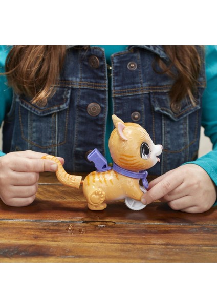 Hasbro Furreal Çiş Yapan Minik Dostlarım - Tekir Kedi