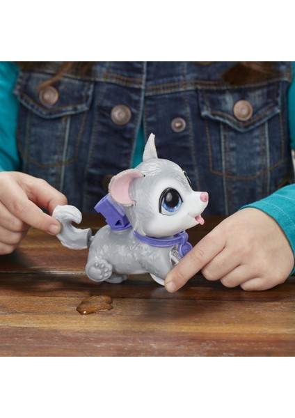 Hasbro Furreal Çiş Yapan Minik Dostlarım - Sibirya Kurdu