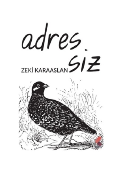 Adressiz - Zeki Karaaslan