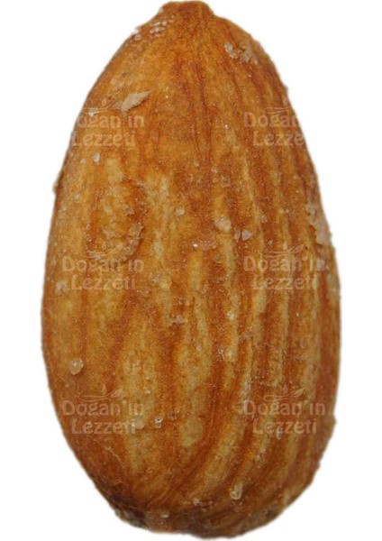 Tuzlu Badem Içi 500 gr indirimleri