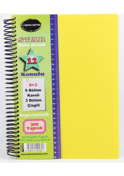Star Spiralli A4 Plastik Kapak Ayraçlı Defter 9 Kareli+3 Çizgili 300 Yaprak