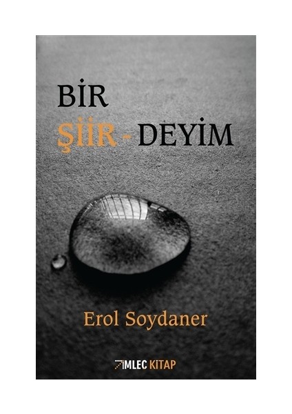 Bir Şiirdeyim - Erol Soydaner