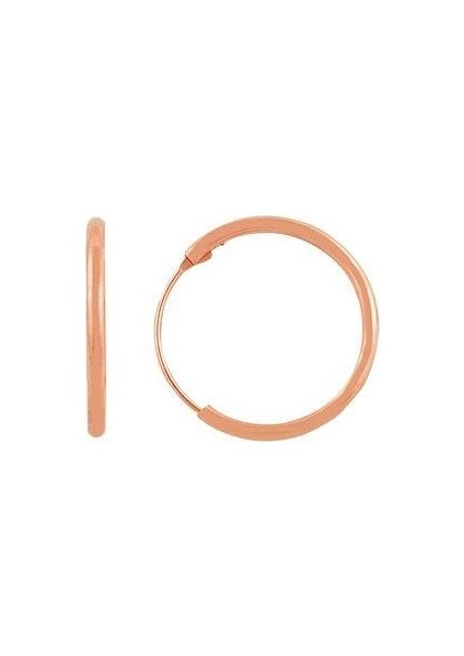 Söğütlü Si̇lver Mini Rose Halka Küpe