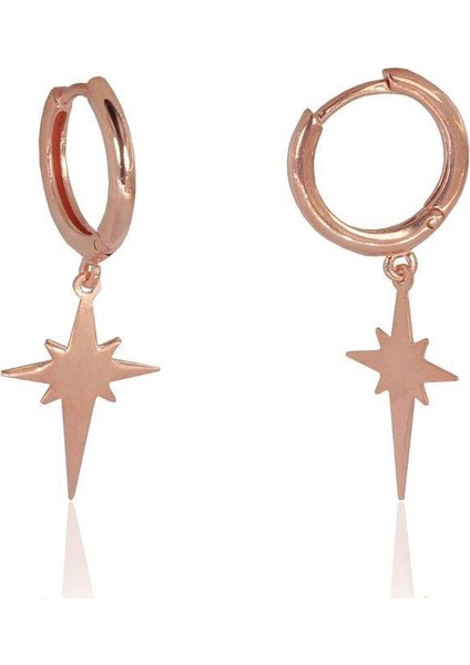 Söğütlü Si̇lver Kutup Yıldızı Küpe