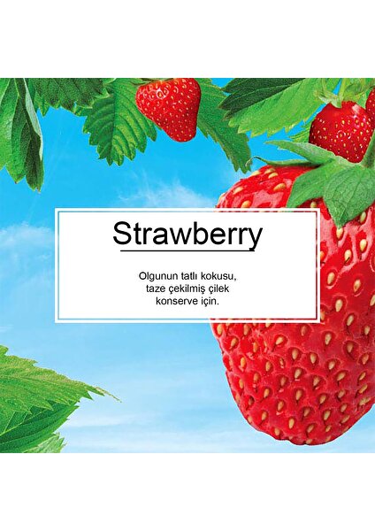 Little Trees Strawberry Çilek Aromalı Oto Kokusu 3 Adet