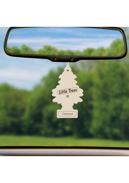 Little Trees Coconut Hindistan Cevizi Aromalı Oto Kokusu 3 Adet