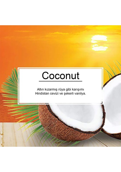 Little Trees Coconut Hindistan Cevizi Aromalı Oto Kokusu 3 Adet