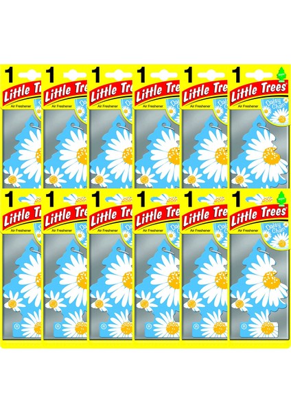 Little Trees Daisy Chain Papatya Aromalı Oto Kokusu 12 Adet