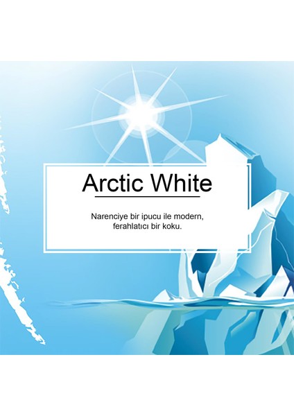 Arctic White Ferahlığı Aromalı Oto Kokusu 3 Adet modelleri
