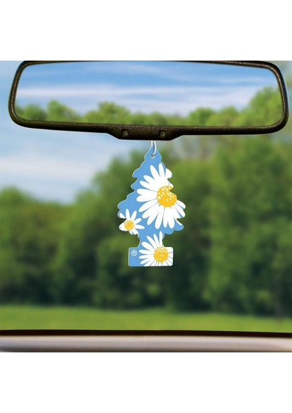 Daisy Chain Papatya Aromalı Oto Kokusu 24 Adet