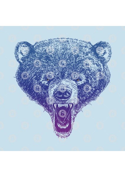 Bear Me Roar! Kupa Bardak