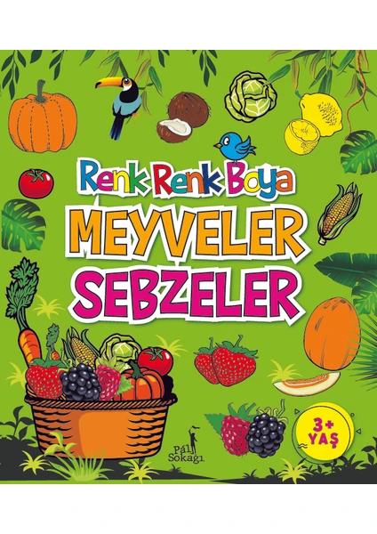 Renk Renk Boya Meyveler Sebzeler - Serkan Karakoç