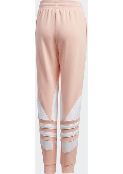 Bıg Trf Pants Spor Eşofman fiyatları