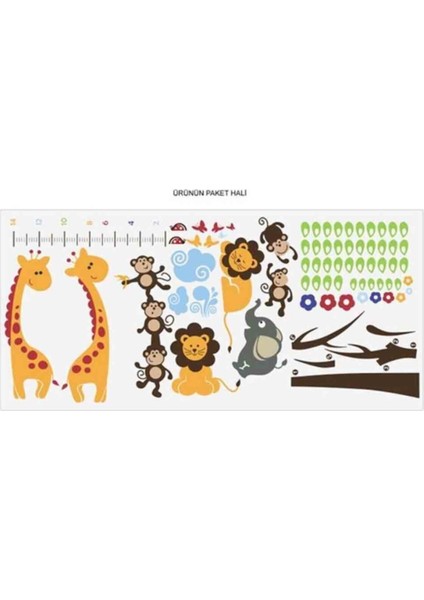 Kt Decoration Orman Hayvanları Mega Set Boy Ölçer Gelişim Tablosu Duvar Sticker fiyatları