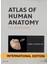Atlas Of Human Anatomy International Edition 7th Edition - Frank H. Netter 1