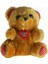I Love You Rozetli Peluş Ayıcık 1