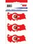 STC-161 Atatürklü Türkiye Çıkartma-2 Etiket 95 x 45 mm 6'lı 1