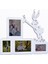 Aile Fotoğraf Albüm Fotoğraf Çerçevesi 04323 1