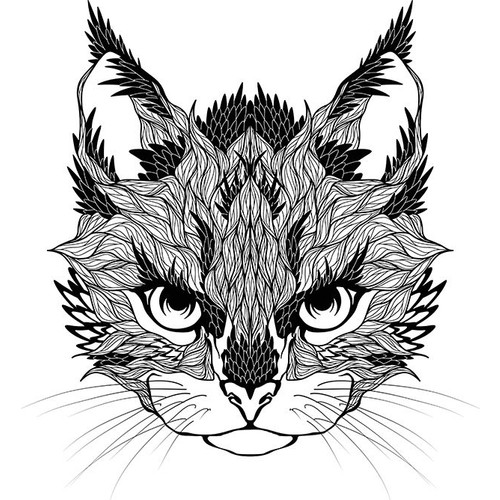 Henge Kedi Kafa Desenli Beyaz Siyah Fon Perde Fiyatı