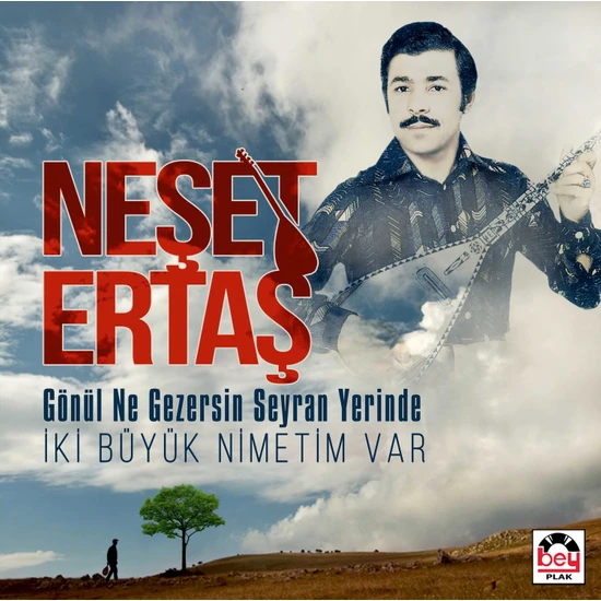 Neşet Ertaş - Gönül Ne Gezersin Seyran Yerinde/ Iki Büyük Nimetim Var - Plak