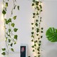 Glr Dekoratif Yeşil Yapraklı Yapay Sarmaşık Gün Işığı Sıcak Sarı LED Işık 2 mt 30 LED