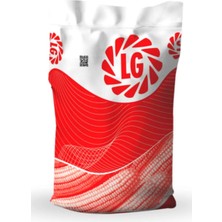 LG Limagrain Truva Silajlık Hibrit Mısır Tohumu