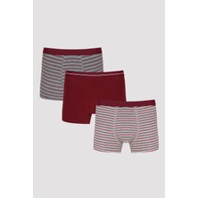 Penti Çizgili Burgundy 3lü Mid Boxer