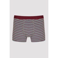 Penti Çizgili Burgundy 3lü Mid Boxer