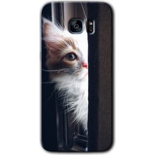 Gramaphone Galaxy S7 Edge Kılıf Hd Desen Baskılı Arka Kapak + Esnek Nano Cam - Kedi Bakışı