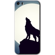 Gramaphone iPhone 5s Kılıf Hd Desen Baskılı Arka Kapak + Esnek Nano Cam - Dolunay Bozkurt