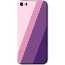 Gramaphone iPhone 5s Kılıf Hd Desen Baskılı Arka Kapak + Kırılmaz Cam - Oblique