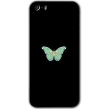 Gramaphone iPhone 5s Kılıf Hd Desen Baskılı Arka Kapak + Kırılmaz Cam - Butterfly Tree