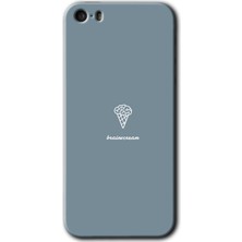 Gramaphone iPhone 5s Kılıf Hd Desen Baskılı Arka Kapak - Beyin Gıdası