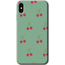 iPhone x Kılıf Hd Desen Baskılı Arka Kapak + Kırılmaz Cam - Kiraz Berry