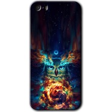 Gramaphone iPhone 5s Kılıf Hd Desen Baskılı Arka Kapak + Esnek Nano Cam - Ballı Baykuş