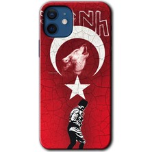 Gramaphone iPhone 12 Mini Kılıf Hd Desen Baskılı Arka Kapak + Esnek Nano Cam - Bozkurt Atam