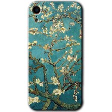 Gramaphone iPhone Xr Kılıf Hd Desen Baskılı Arka Kapak - Almond Blossom