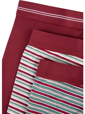 Penti Çizgili Burgundy 3lü Mid Boxer