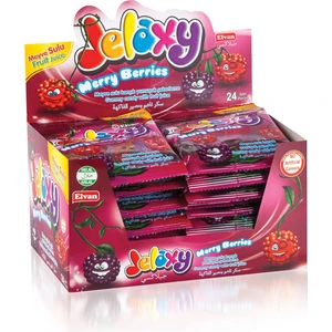 Salkım Böğürtlen 20 Gr. 24 Paket (1 Kutu)