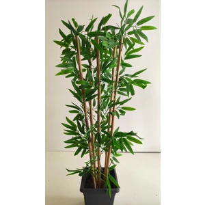 Rüzgar Çiçekçilik Rüzgaryapay Çiçekçilik 110 Cm5 Li Bambu Ağacı