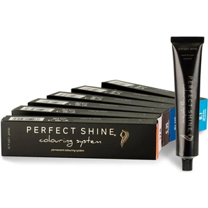 Perfect Shine Saç Boyası 100 Ml