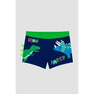 Erkek Çocuk Dinozor Desenli Boxer Mayo